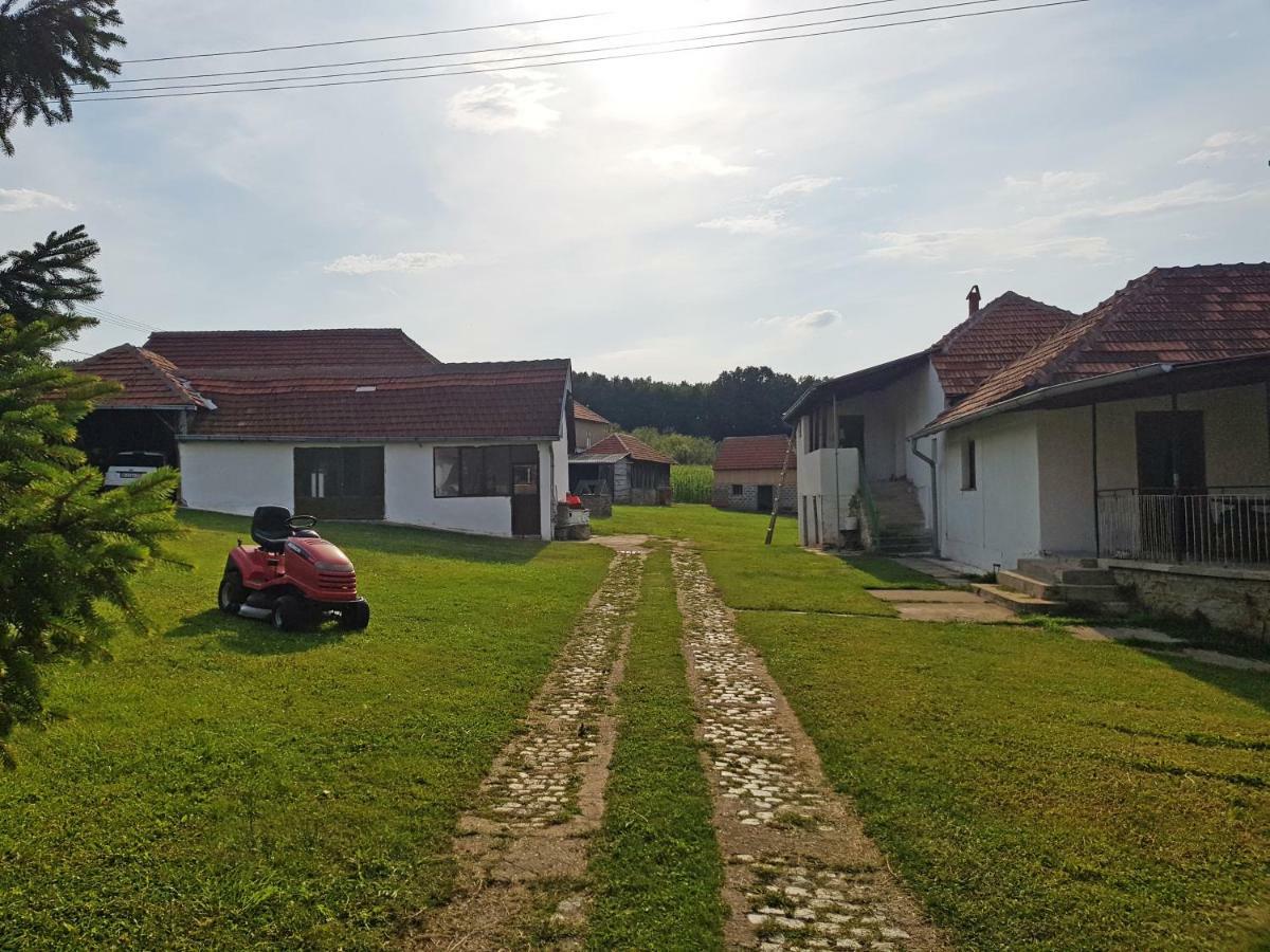 Green Apartments Kursumlija Экстерьер фото