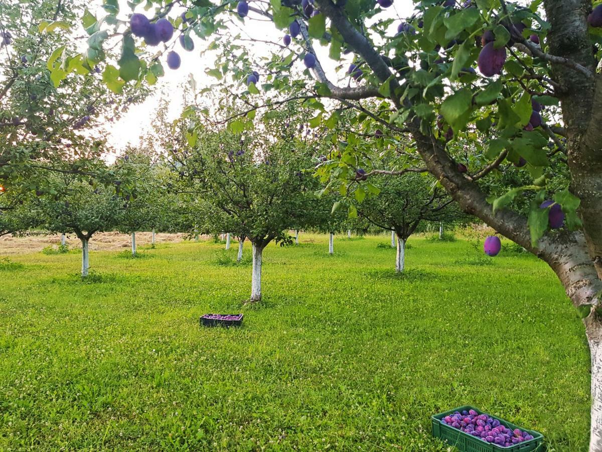 Green Apartments Kursumlija Экстерьер фото